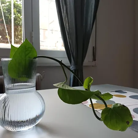Lägenhet Casa Di Mia Rom